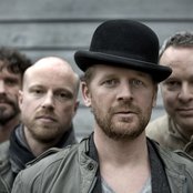 Racoon - List pictures