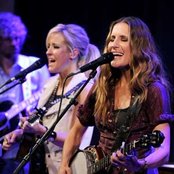 Court Yard Hounds - List pictures