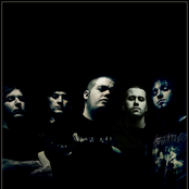 Annotations Of An Autopsy - List pictures