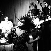 Kitten - List pictures