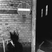 Velvet Acid Christ - List pictures