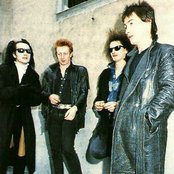 The Damned - List pictures