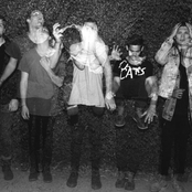 Gold Fields - List pictures