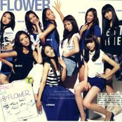 Flower - List pictures