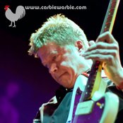 Nels Cline - List pictures