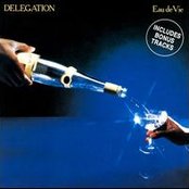 Delegation - List pictures