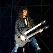 Bumblefoot - List pictures