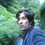 Yogi - List pictures