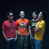 Bamboo - List pictures