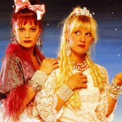 Voice Of The Beehive - List pictures