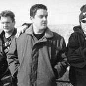 Tree - List pictures