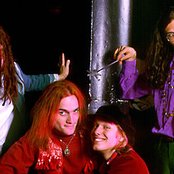 Jellyfish - List pictures