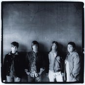 The Elms - List pictures