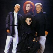 Dead Or Alive - List pictures