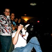 The Bunny The Bear - List pictures