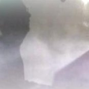 Catman Cohen - List pictures