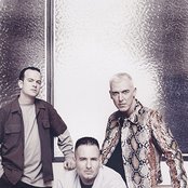 Scooter - List pictures