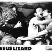 The Jesus Lizard - List pictures
