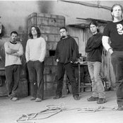 Luna Amara - List pictures