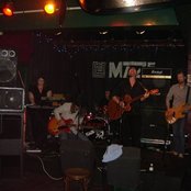 The Amber Herd - List pictures