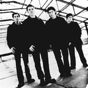 Shaded Red - List pictures