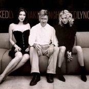 David Lynch - List pictures