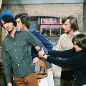 Monkeys - List pictures