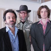 Pernice Brothers - List pictures