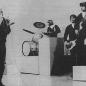 The Electric Prunes - List pictures