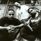 Delinquent Habits - List pictures