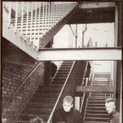 The Membranes - List pictures