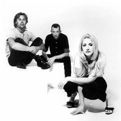 Peach - List pictures