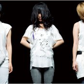 Chat Monchy - List pictures