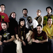 Danakil - List pictures