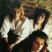 All About Eve - List pictures