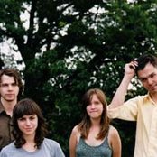 The Dirty Projectors - List pictures