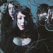 Scarling - List pictures