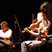 Toad - List pictures