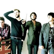 Elephanz - List pictures