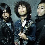 Electric Eel Shock - List pictures