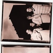 Dogwood - List pictures