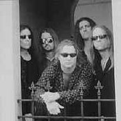 Zanister - List pictures