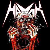 Havok - List pictures