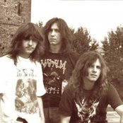 Vader - List pictures