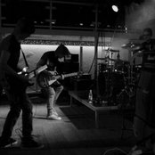 Cactus - List pictures