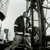 Lord Finesse - List pictures