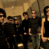 Insite - List pictures