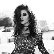 Kitten - List pictures