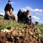 Negramaro - List pictures