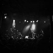 Mountain Bird - List pictures